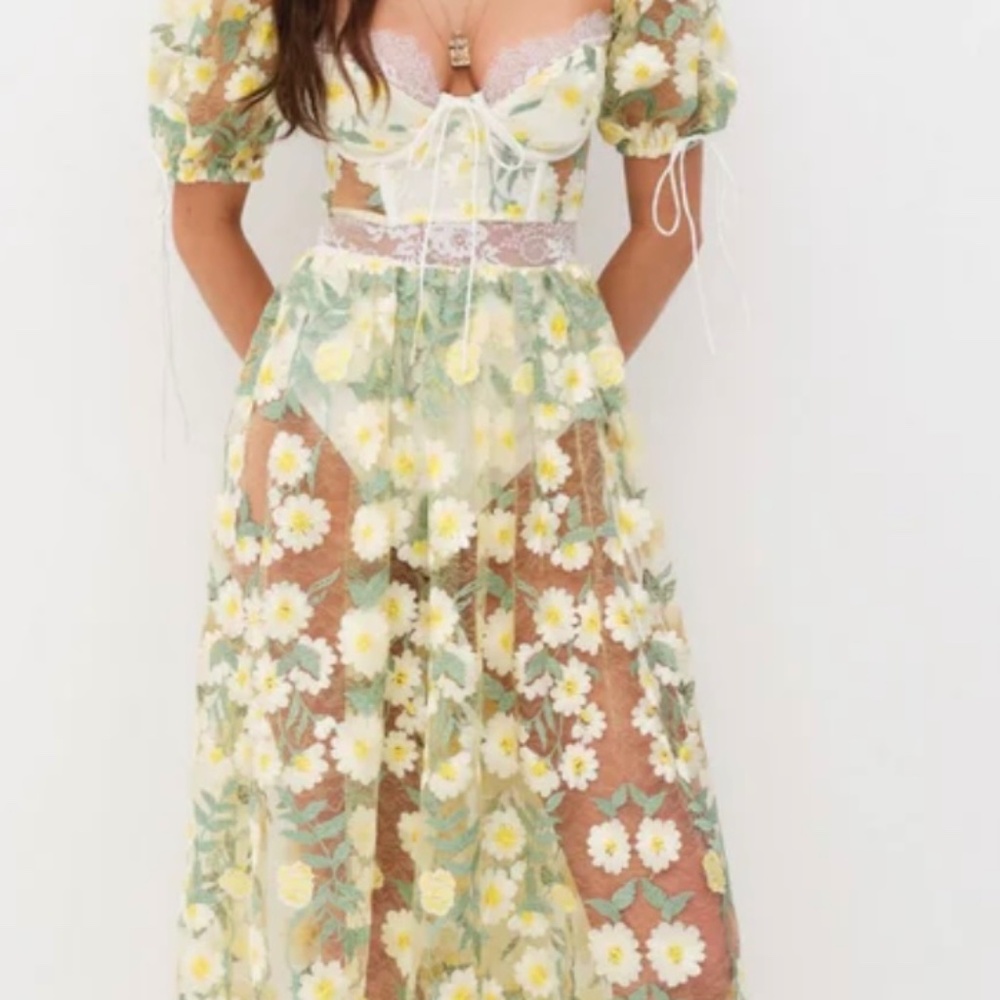 For Love & Lemons Dress